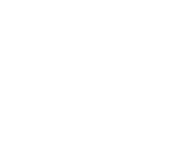 Syntax Institut